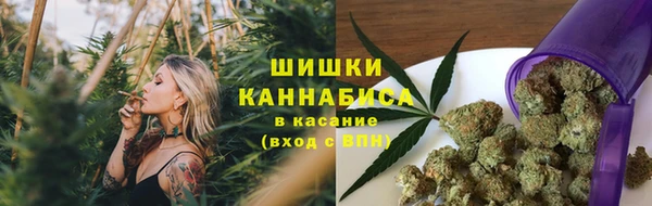 крисы Бородино